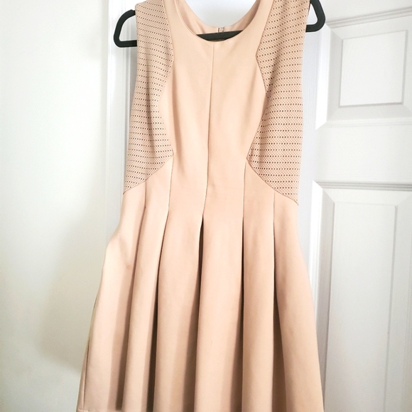 BCBG lot of dresses all size large - Picture 4 of 4